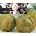 Top Quality Coconut Meat Grinder